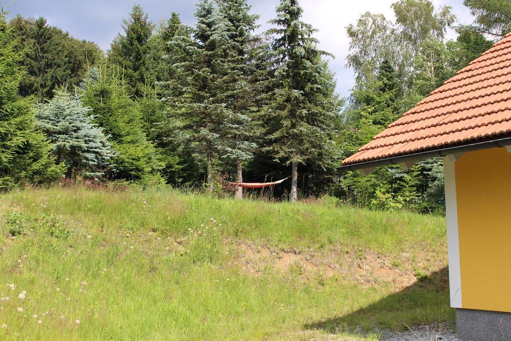 Ferienhaus Grobauer Villa Schwarzenberg am Bohmerwald Exterior photo