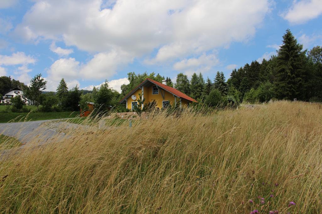 Ferienhaus Grobauer Villa Schwarzenberg am Bohmerwald Exterior photo